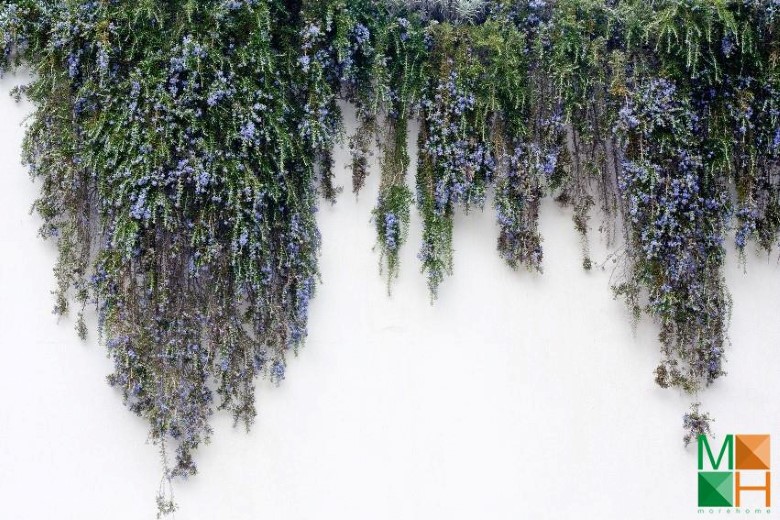 Tranh dán tường Hàn Quốc 3d khổ lớn tại Hà Nội NA - 021